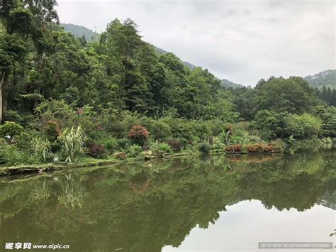 美景 的图像结果