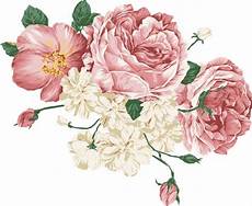 peony clipart peony free vector 75 free vector for commercial peony clipart peony free vector 75 free vector for commercial
