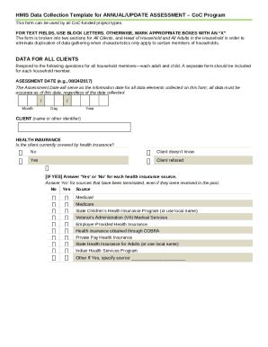 HMIS Data Collection Template for ANNUAL ASSESSMENT Doc Template ...