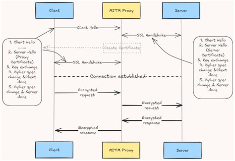 Image result for Socket Proxy Server Client