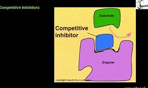 Image result for inhibits