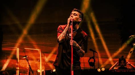 Zayn Malik hints at facing racism during One Direction days in new song