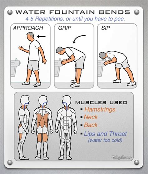 Exercise Diagrams 的图像结果