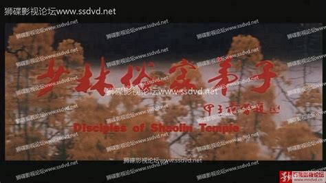 [VCD][香港][1985][少林俗家弟子][dat/965.26MB][范冬雨/何晴/赵娆娆][百度网盘] - 『香港电影 VCD原盘』下 ...