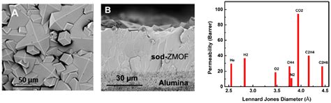 Metal–Organic Framework Membranes: From Fabrication to Gas Separation