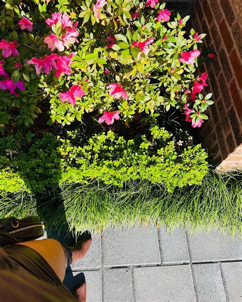 Jalyn Michelle | heaven sent but she fine as hell 🌸 | Instagram