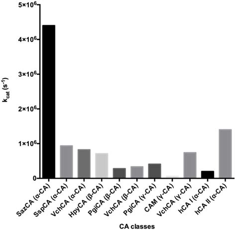 An Overview of the Bacterial Carbonic Anhydrases