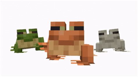 Image result for Minecraft Live Frog