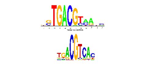 Two Sample Logo 的图像结果