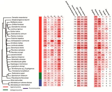 Evolutionary Dynamics and Functional Bifurcation of the C2H2 Gene ...