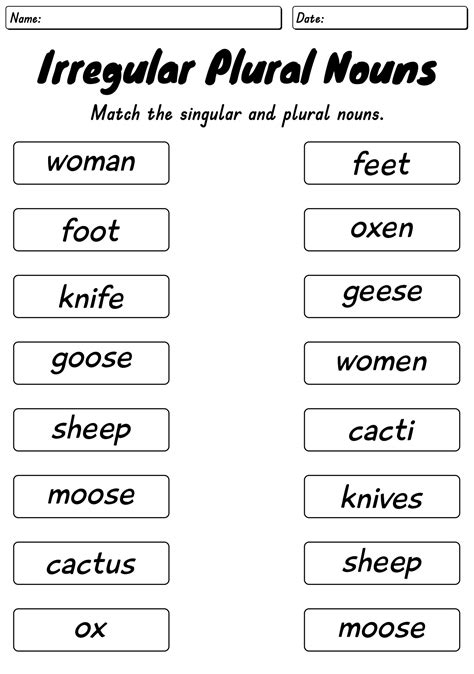 18 Irregular Plurals Worksheets 1st Grade - Free PDF at worksheeto.com