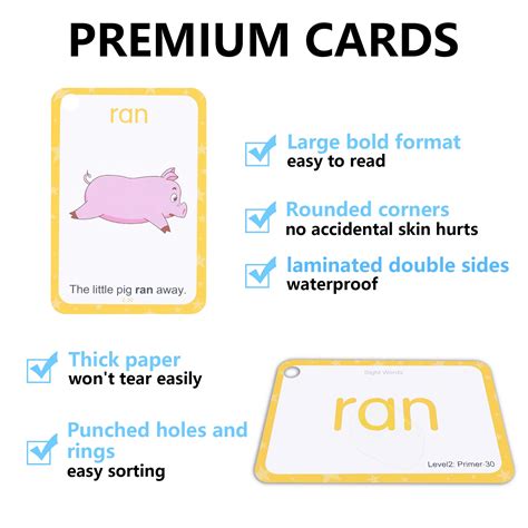 Conzy Dolch Sight Words Flash Cards for Kindergarten 1st 2nd 3rd Grade ...