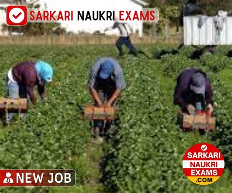 MOHF Field Worker Group B, C Recruitment 2024 | 477 Vacancy Online Form