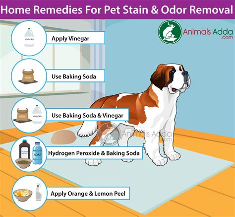 Does Baking Soda Help With Dog Smell