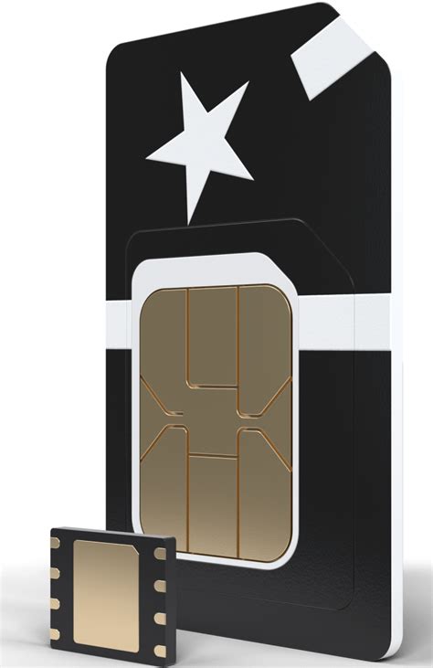 Image result for Worm Sim Card