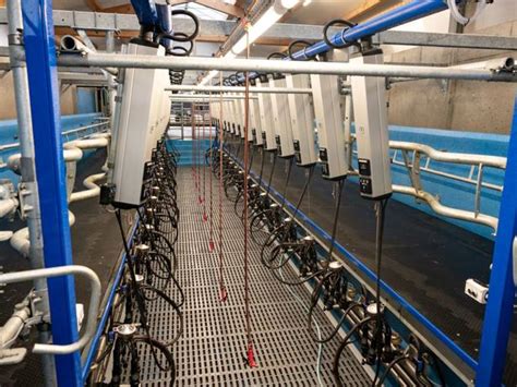 DeLaval herringbone parlour HB50 - DeLaval