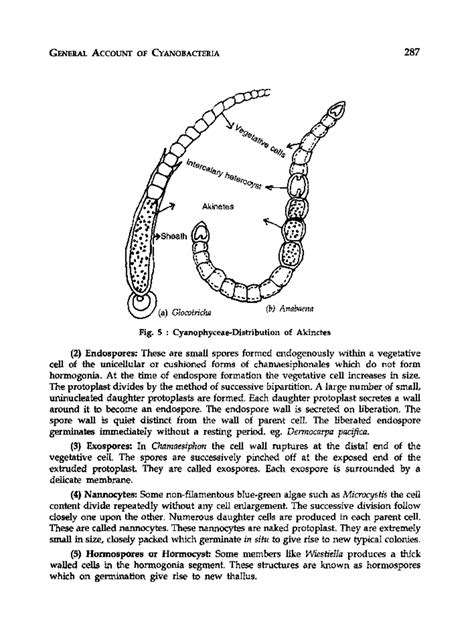 Text Book of Microbiology (1)-286-300 - GENERAL ACCOUNT OF ...
