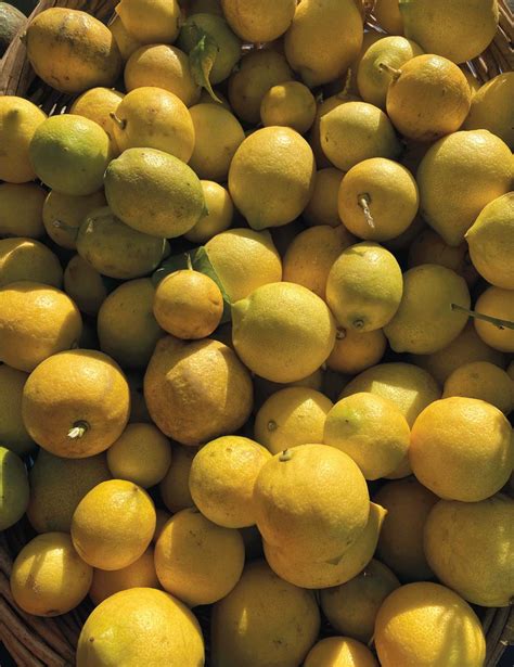 Is Lemon Edible at Mildred Fulcher blog