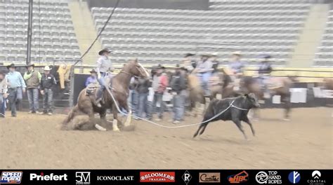 Image result for Girls Team Roping