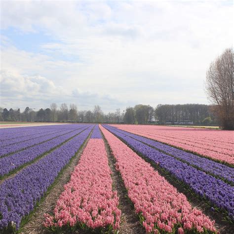 OLD ZANDVLIET FARM (2026) All You Need to Know BEFORE You Go (with ...