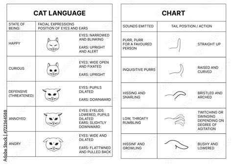 Image result for Cat Language