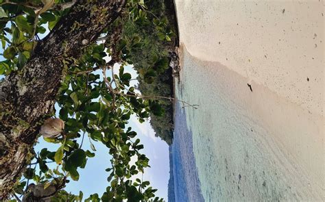 YENGKRIS HOMESTAY (Gam Island) - Guesthouse Reviews & Photos - Tripadvisor