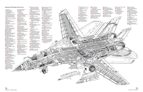 Grumman F-14A Tomcat cutaway | Infographic, Cutaway, F14 tomcat