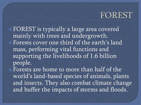 Forest Environment 的图像结果