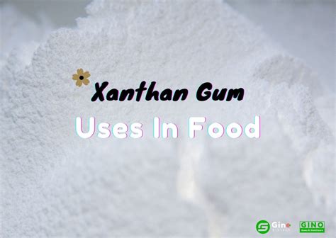 Xanthan Gum Uses in Food: 5 Useful Parts You Should Know