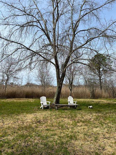 Camping on Long Island, New York: Best Long Island Campgrounds 2026 ...