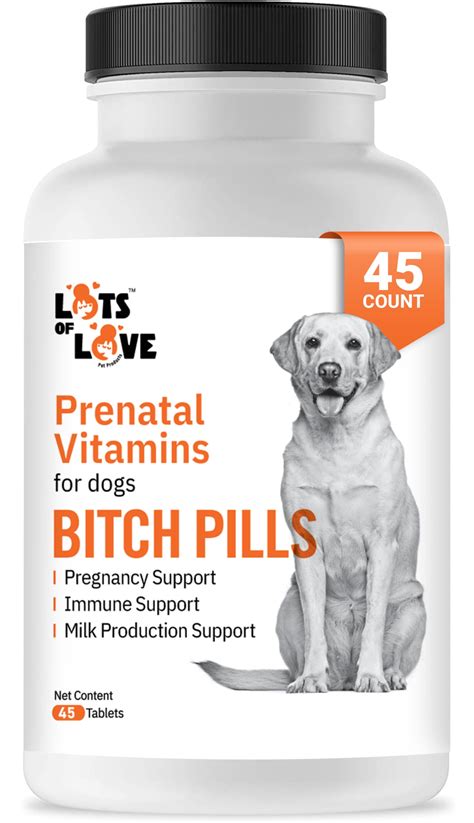 13 Dog Prenatal Vitamins for a Healthy Pregnancy