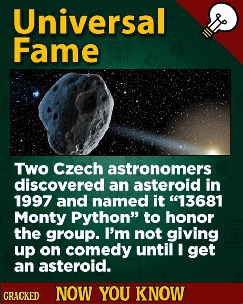 Image result for Monty Python Abstimmung