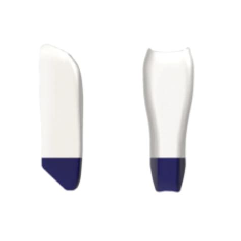 Bioclear Black Triangle Matrices - Refill Packs-Matrices for Anterior ...