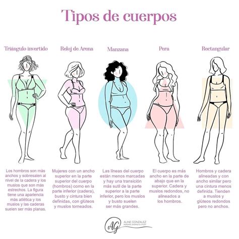 Pin de Victoria Bautista en Vocabulario de moda ‼️ | Tipos de cuerpos ...