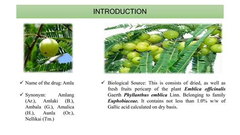 Amla | PPTX