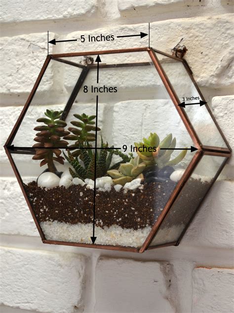 Wall Mounted Terrariums — Mudfingers