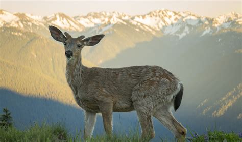 High Resolution Photography 的图像结果