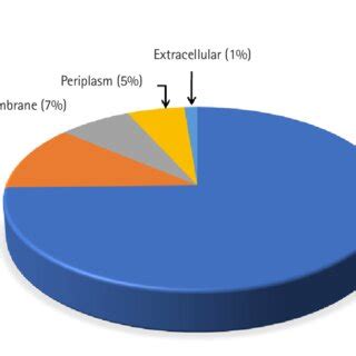 Dynamic Cellular Localization Chart 的图像结果