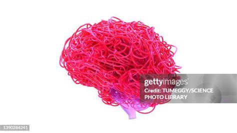 Over Information 的图像结果