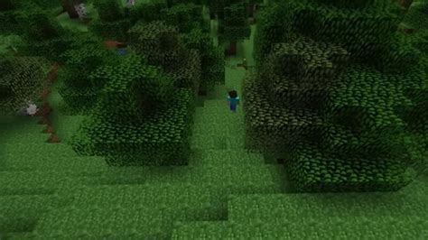 Image result for Custom Minecraft Skins Java