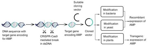 Antimicrobial Compounds from Microorganisms