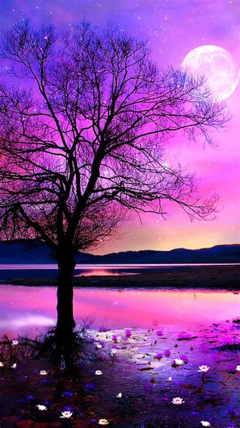 cute pictures nature