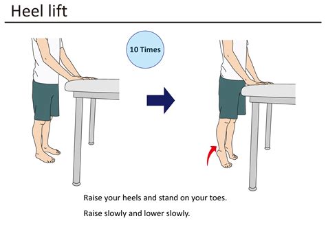 Heel Raise Exercise-standing | Physio Visuals: Illustrated Exercise ...