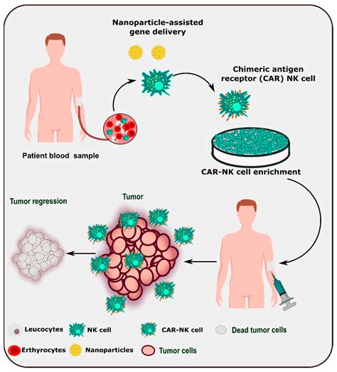 Nanoparticle Enhancement of Natural Killer (NK) Cell-Based Immunotherapy