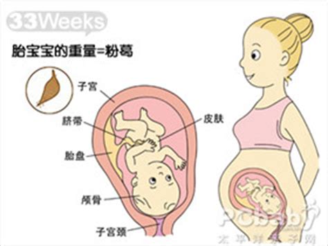 怀孕33周胎儿体重、羊水指数、胎动、双顶径_孕33周胎儿发育情况_亲子百科_太平洋亲子网
