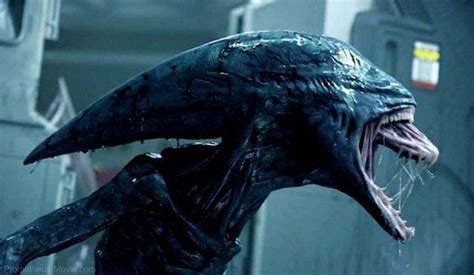 Image result for Alien Prometheus Ending