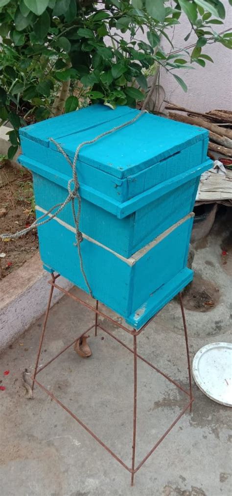 Varnika Theni Valarpu - Organic Farmer - PUTTAI | Vkno - We Know