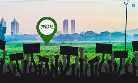 Aarey Update: Supreme Court Stays Cutting Of More Trees, Gives Next ...