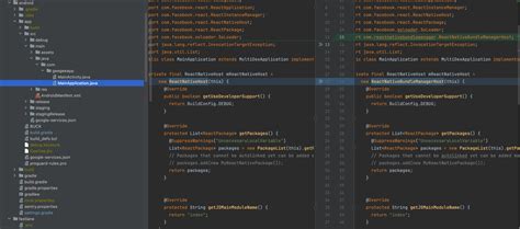 Image result for Bundle React Native Code And