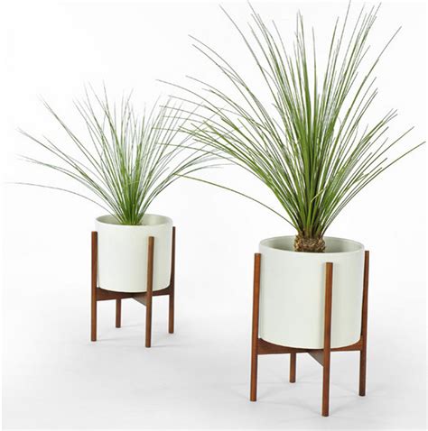 Indoor Floor Plants in White Planters